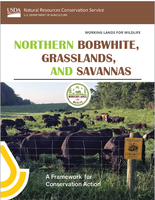 Working Lands for Wildlife: Northern Bobwhite, Grasslands and Savannas Framework for Conservation Action Cover Image