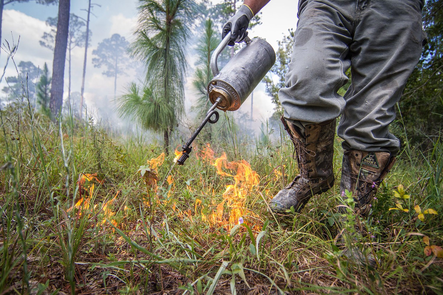 prescribed burn