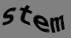 Enter the word