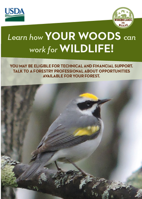 Golden-winged Warbler Landowner Outreach Mailer Template