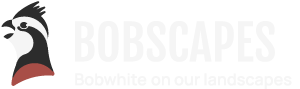 Bobscapes Bobscapes logo