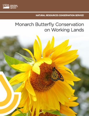 cover-monarch butterfly report