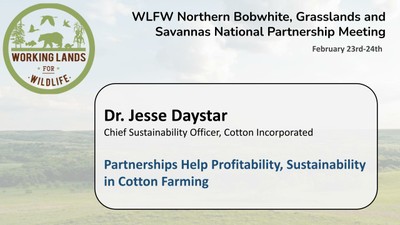 Partnerships Help Profitability, Sustainability in Cotton Farming: Dr. Jesse Daystar