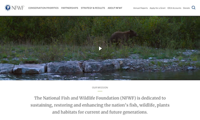 National Fish and Wildlife Foundation (NFWF)