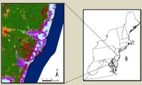 Designing Sustainable Landscapes: Landscape Capability for Marsh Species