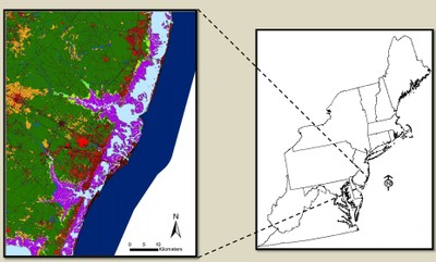 Designing Sustainable Landscapes: Landscape Capability for Marsh Species