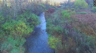 Boone Watershed Partnership