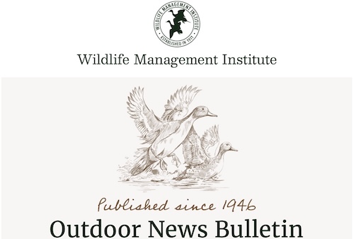 Wildlife Management Institute Outdoor News Bulletin June 2025